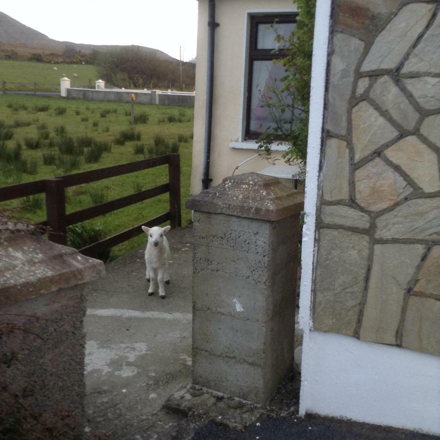 Sea View Chalet Kilsallagh Westport Co Mayo Ngoại thất bức ảnh